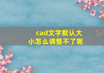 cad文字默认大小怎么调整不了呢