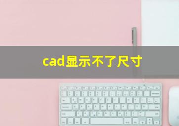 cad显示不了尺寸