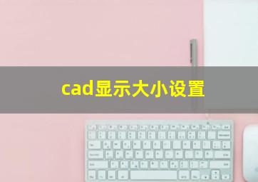 cad显示大小设置