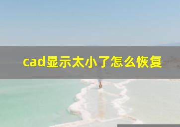 cad显示太小了怎么恢复