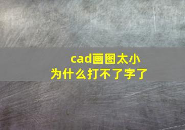 cad画图太小为什么打不了字了