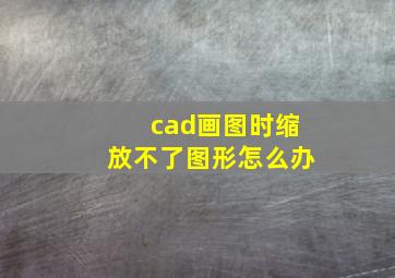 cad画图时缩放不了图形怎么办