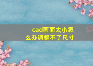 cad画面太小怎么办调整不了尺寸