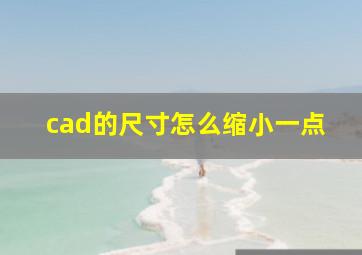 cad的尺寸怎么缩小一点