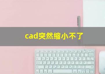 cad突然缩小不了