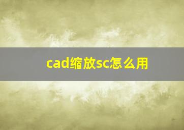 cad缩放sc怎么用