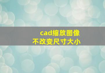 cad缩放图像不改变尺寸大小