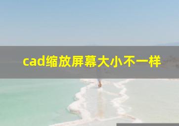 cad缩放屏幕大小不一样