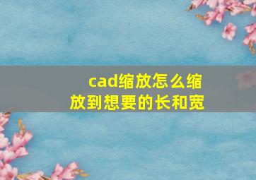 cad缩放怎么缩放到想要的长和宽