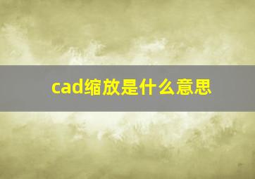 cad缩放是什么意思