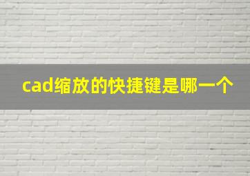 cad缩放的快捷键是哪一个