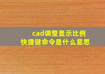 cad调整显示比例快捷键命令是什么意思