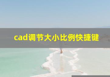 cad调节大小比例快捷键