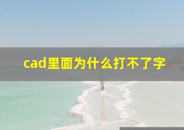 cad里面为什么打不了字