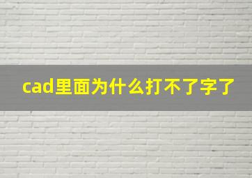 cad里面为什么打不了字了