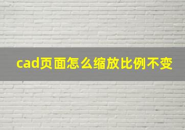 cad页面怎么缩放比例不变