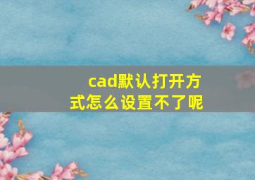 cad默认打开方式怎么设置不了呢