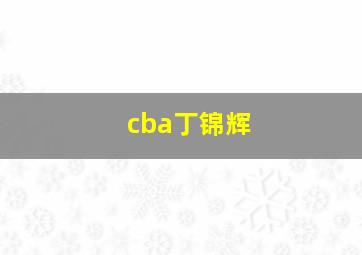 cba丁锦辉