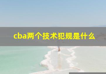 cba两个技术犯规是什么