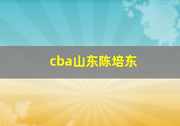 cba山东陈培东