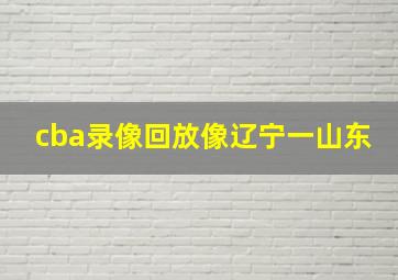 cba录像回放像辽宁一山东