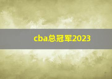 cba总冠军2023