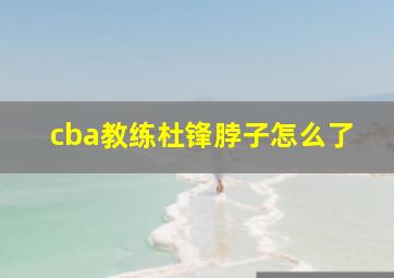 cba教练杜锋脖子怎么了