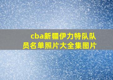 cba新疆伊力特队队员名单照片大全集图片