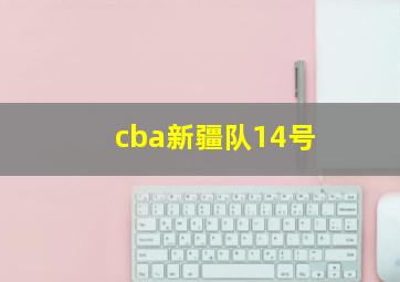 cba新疆队14号