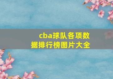 cba球队各项数据排行榜图片大全