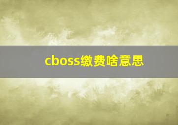 cboss缴费啥意思