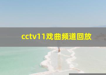 cctv11戏曲频道回放