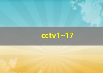 cctv1~17