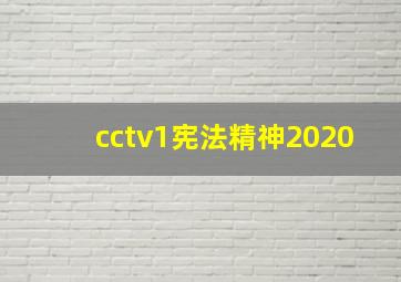 cctv1宪法精神2020