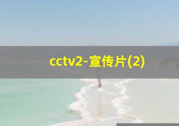 cctv2-宣传片(2)