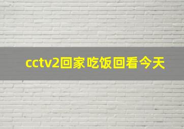 cctv2回家吃饭回看今天