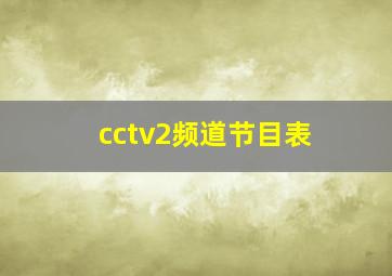 cctv2频道节目表