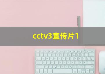 cctv3宣传片1