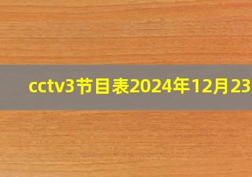 cctv3节目表2024年12月23日