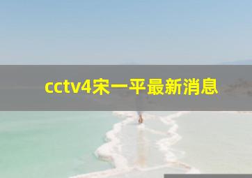 cctv4宋一平最新消息