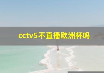 cctv5不直播欧洲杯吗