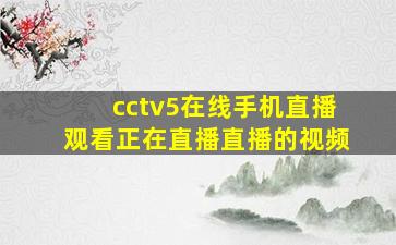 cctv5在线手机直播观看正在直播直播的视频