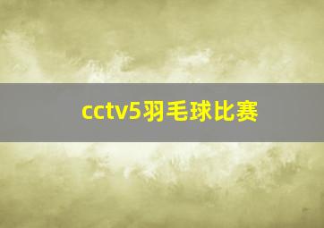 cctv5羽毛球比赛