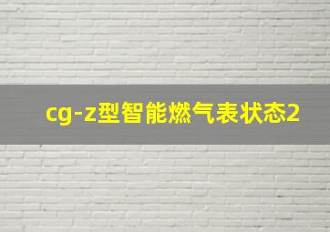 cg-z型智能燃气表状态2