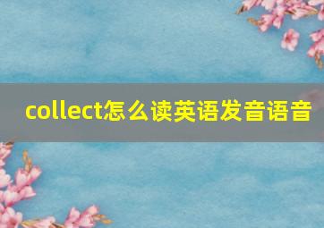 collect怎么读英语发音语音