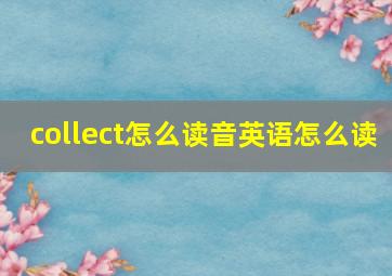 collect怎么读音英语怎么读