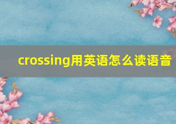 crossing用英语怎么读语音