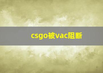 csgo被vac阻断