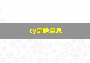 cy是啥意思