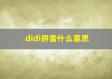 didi拼音什么意思